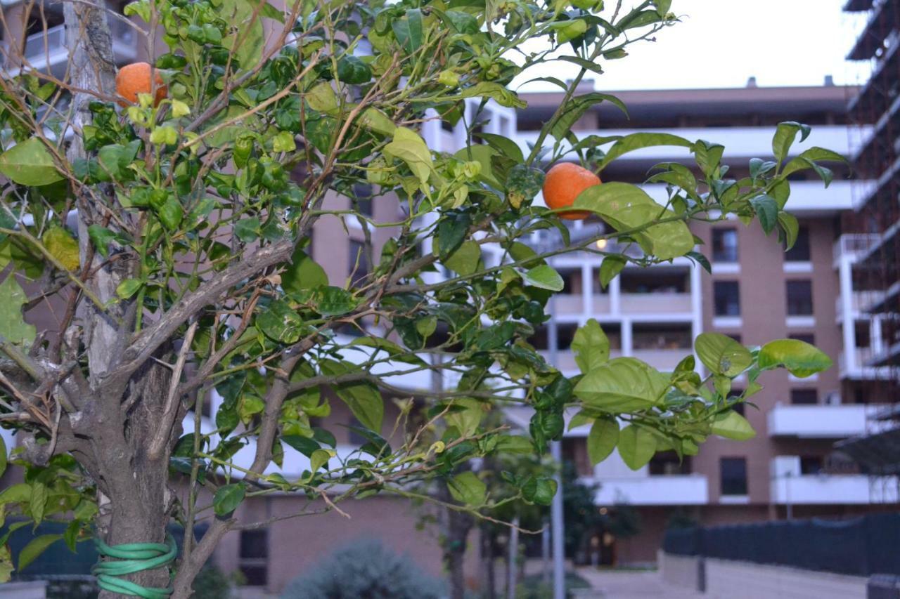Airport & Fair Suite Apartments Fiumicino Dış mekan fotoğraf
