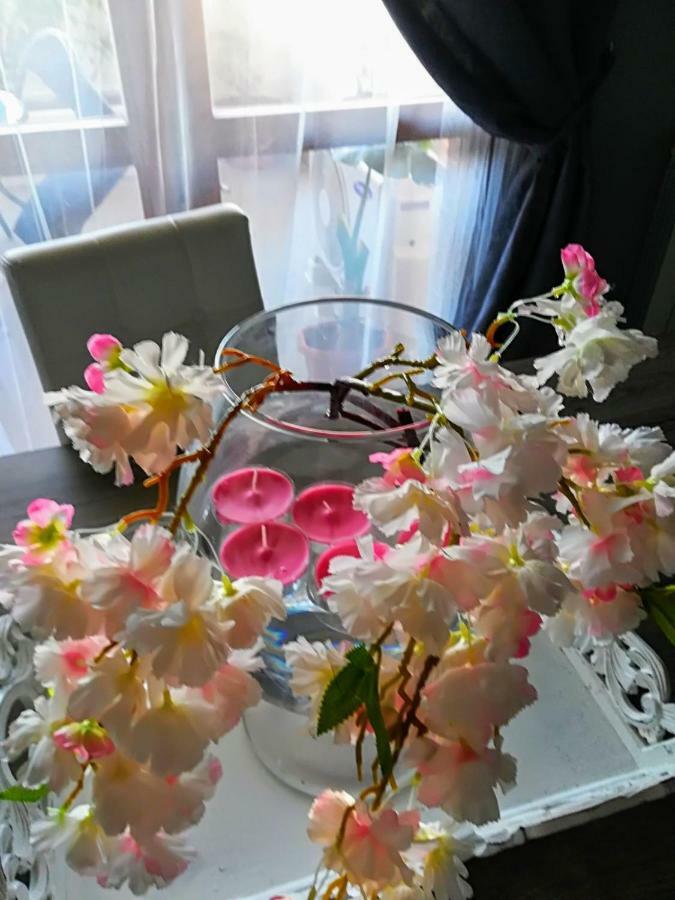 Airport & Fair Suite Apartments Fiumicino Dış mekan fotoğraf